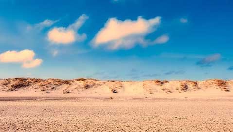 Sand Seashore Beach Sand-Dune Picture