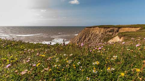 Cliff Coast Denmark Sea Picture