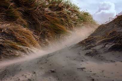 North-Sea Forward Dune Beach Picture