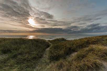 Dunes North-Sea Nature Denmark Picture
