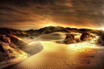 Dunes Beach North-Sea Sea Picture