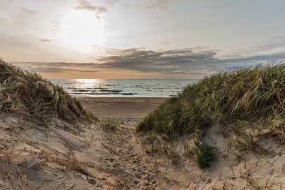 Dunes Sea North-Sea Beach Picture