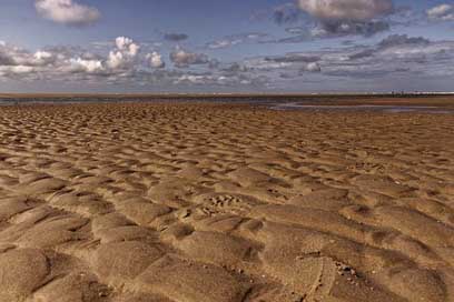 Landscape Northsea North-Sea Nature Picture