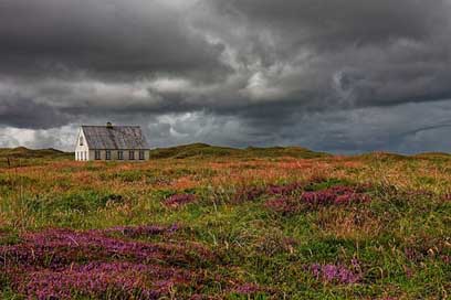 Denmark Dunes North-Sea-Coast North-Sea Picture