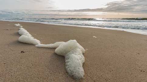 Beach Nature Sea North-Sea Picture