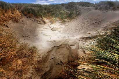 Dunes Nature Sea Beach Picture