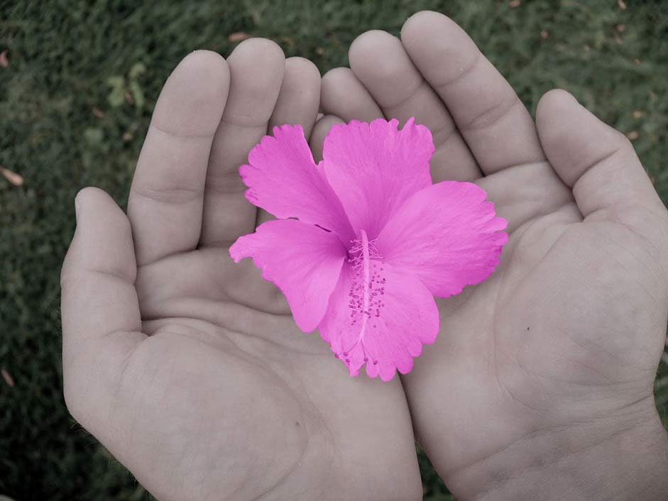 Nature Flora Hands Flower