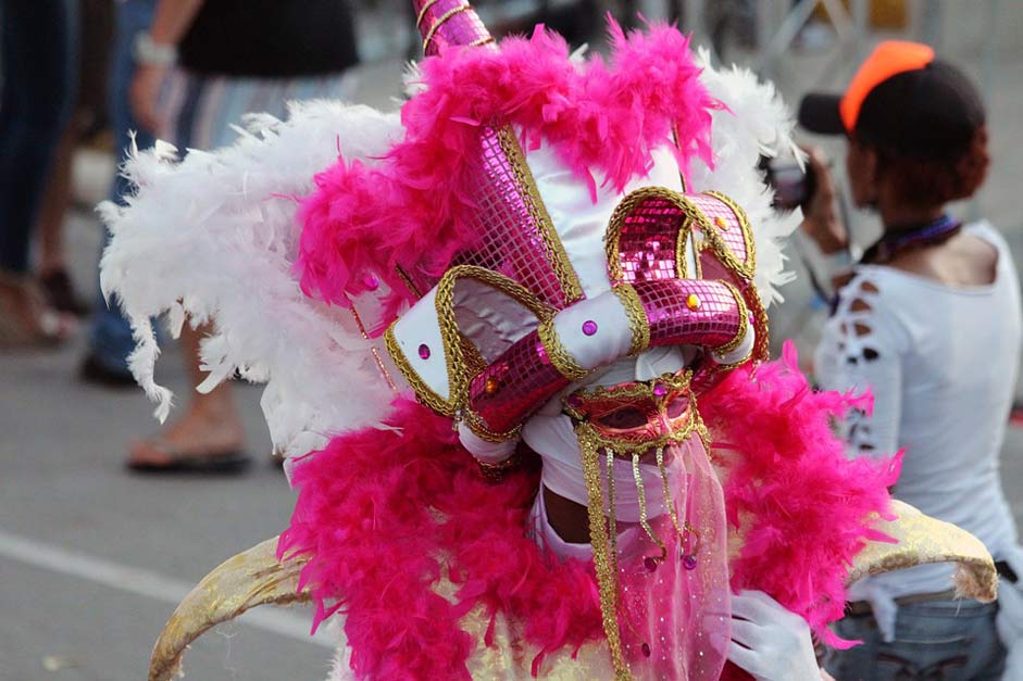 Fun Carnival Masquerade Mask