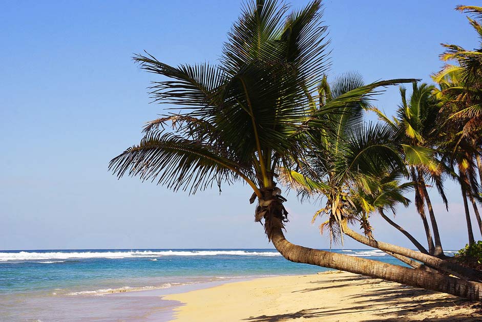 Dominican-Republic Beach Bavaro Punta-Cana