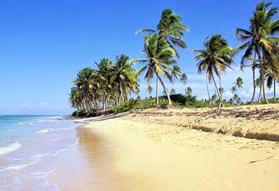Dominican-Republic Tropics Bavaro Beach Picture