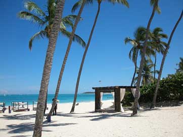 Dominican-Republic Caribbean Sea Beach Picture
