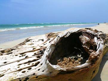 Wood Republic Dominican Beach Picture