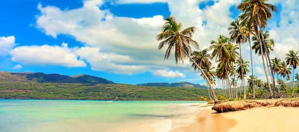 Beach Sea Palm-Trees Paradise Picture