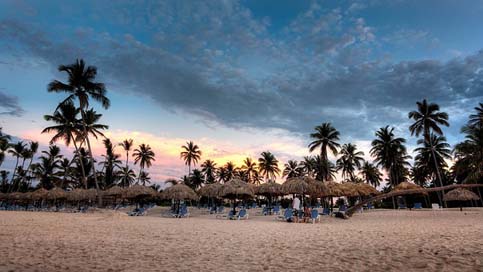 Tropical-Beach Tourists Sandy Palm-Trees Picture