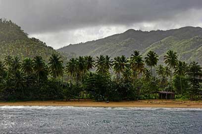 Dominican-Republic  Palm-Trees Tropical-Beach Picture