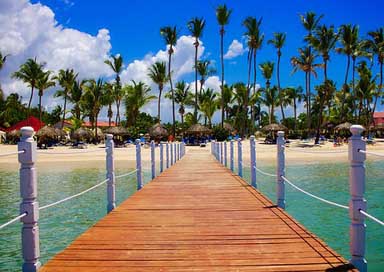 Dominican-Republic Palm-Trees Palms Tropics Picture