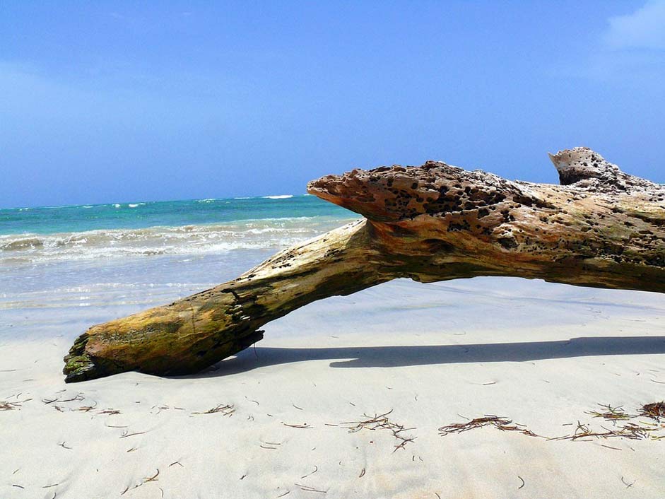 Republic Dominican Beach Wood