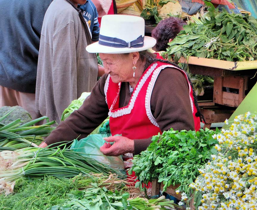 Peasant Market Ecuador Cuenca