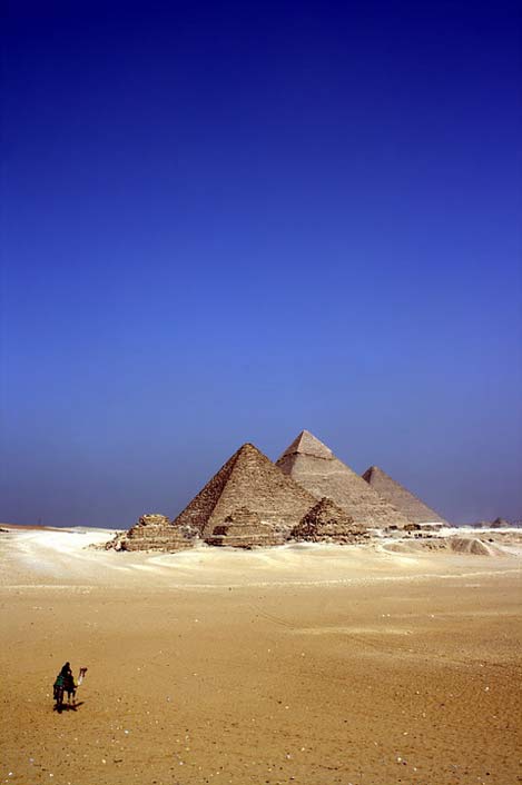 Egypt Desert Camel Alone