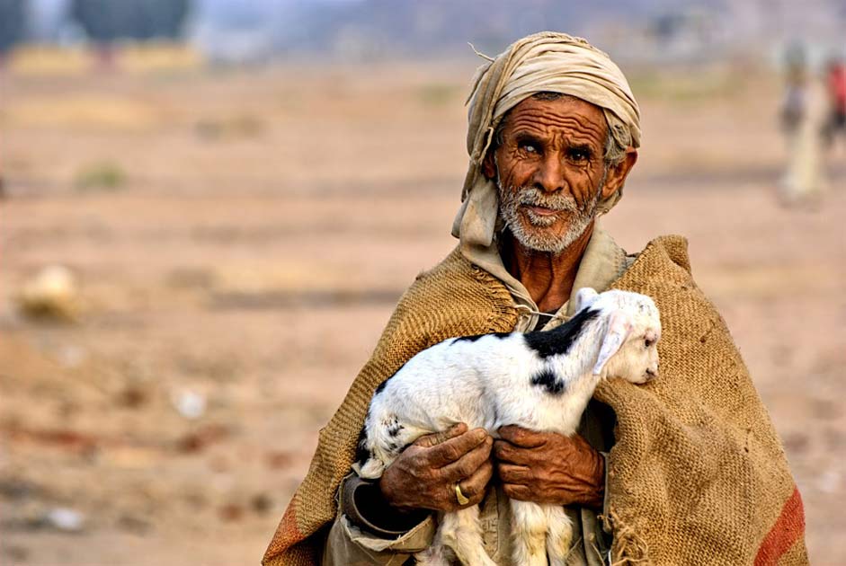 Desert Bedouin Man Egypt