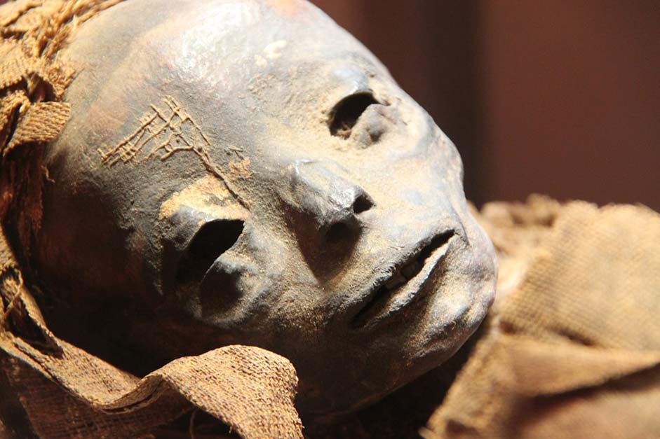 Egypt Egyptian Museum Mummy