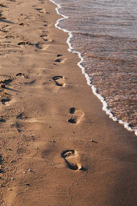 Tracks Sand Beach Sea