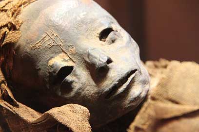 Mummy Egypt Egyptian Museum Picture