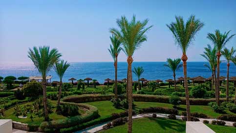 Sea Hotel Palm-Trees Egypt Picture