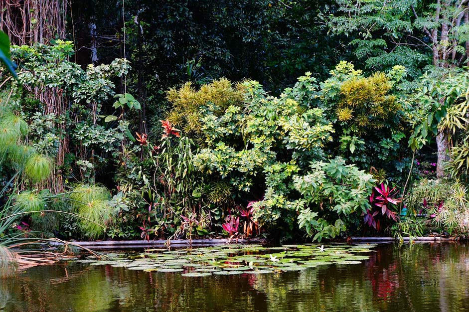 Water Nature Island El-Salvador