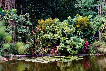 El-Salvador Water Nature Island Picture