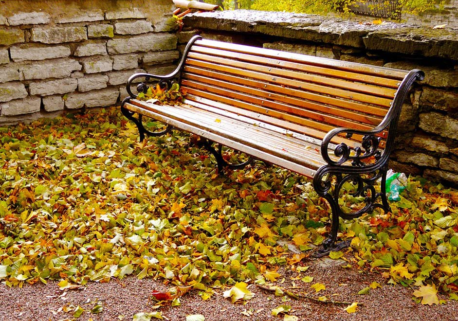 Old-Town Park Autumn Autumn-Season