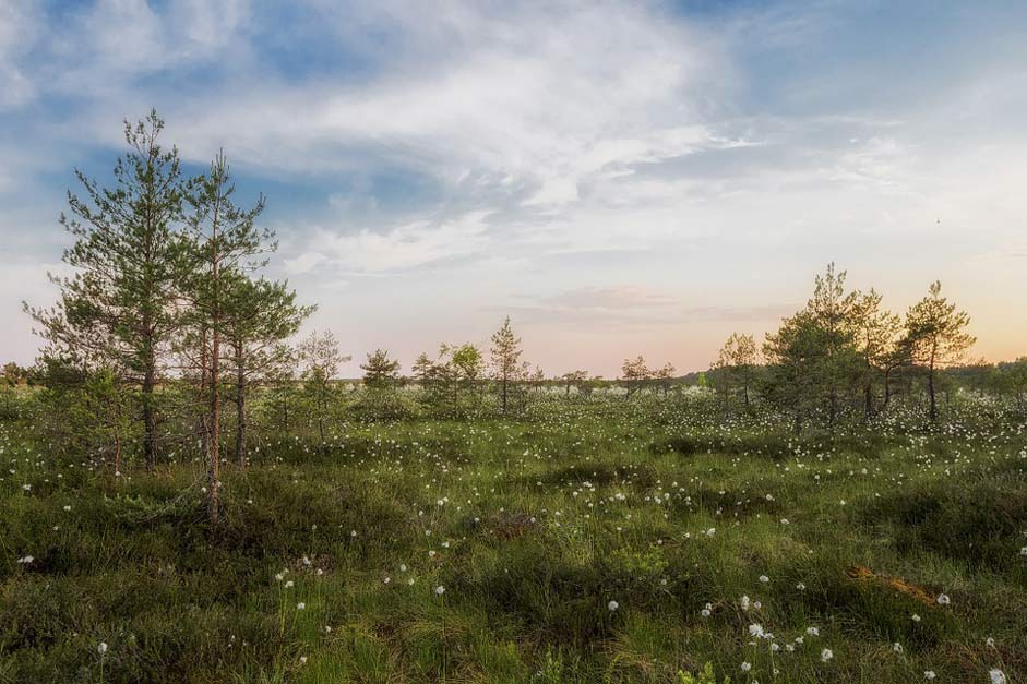 Sky Scenic Landscape Estonia