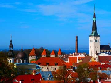 Oleviste Red Old-Town Churches Picture