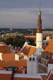 Estonia  Historic-Center Tallinn Picture