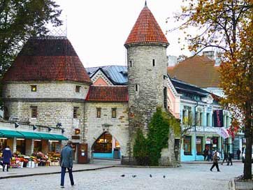 Old-Town Estonia Tallinn Old-Medieval-Town Picture