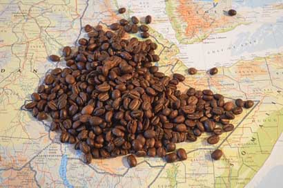 Coffee Beans Ethiopia Map Picture