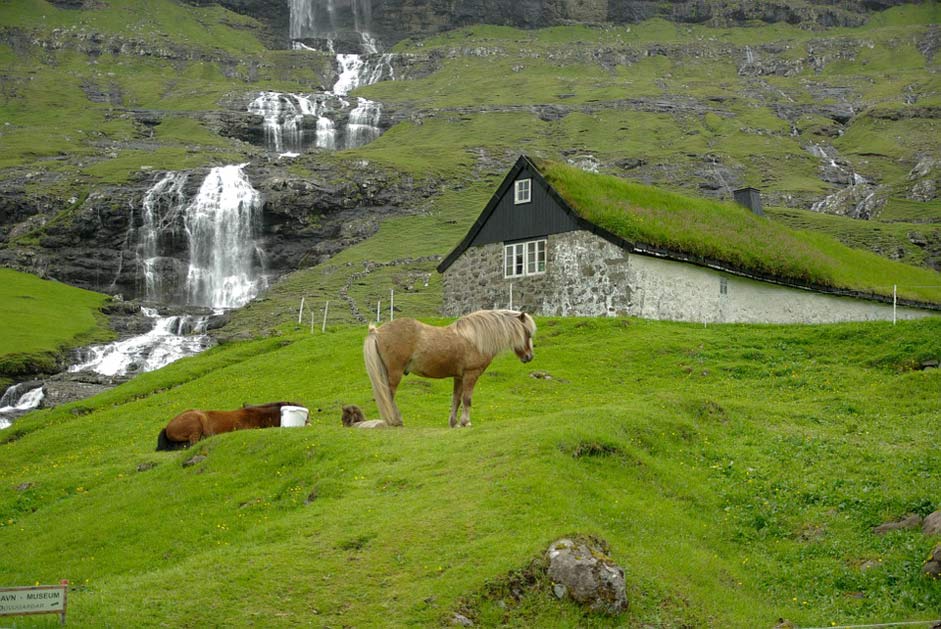 Fjord Horses Cascade Faroe-Islands