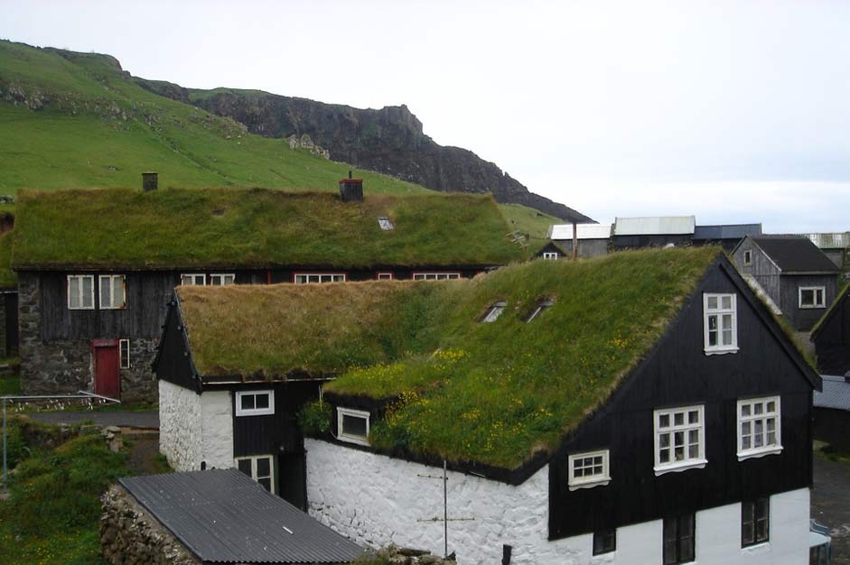  Islands Faroe Grass