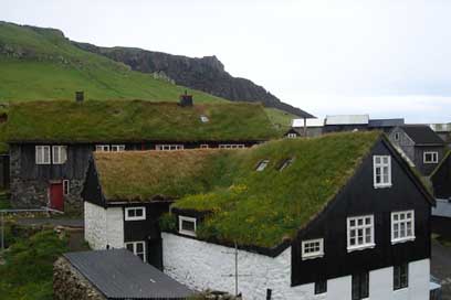Grass  Islands Faroe Picture