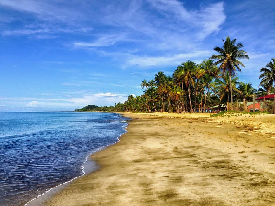 Palm-Trees Sand Beach Fiji
