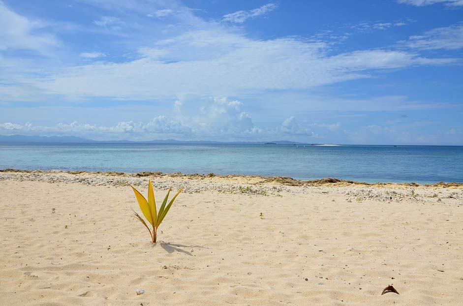   Beach Fiji
