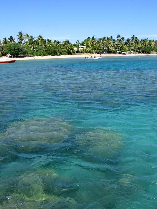 Palm-Trees Beach Boat Fiji