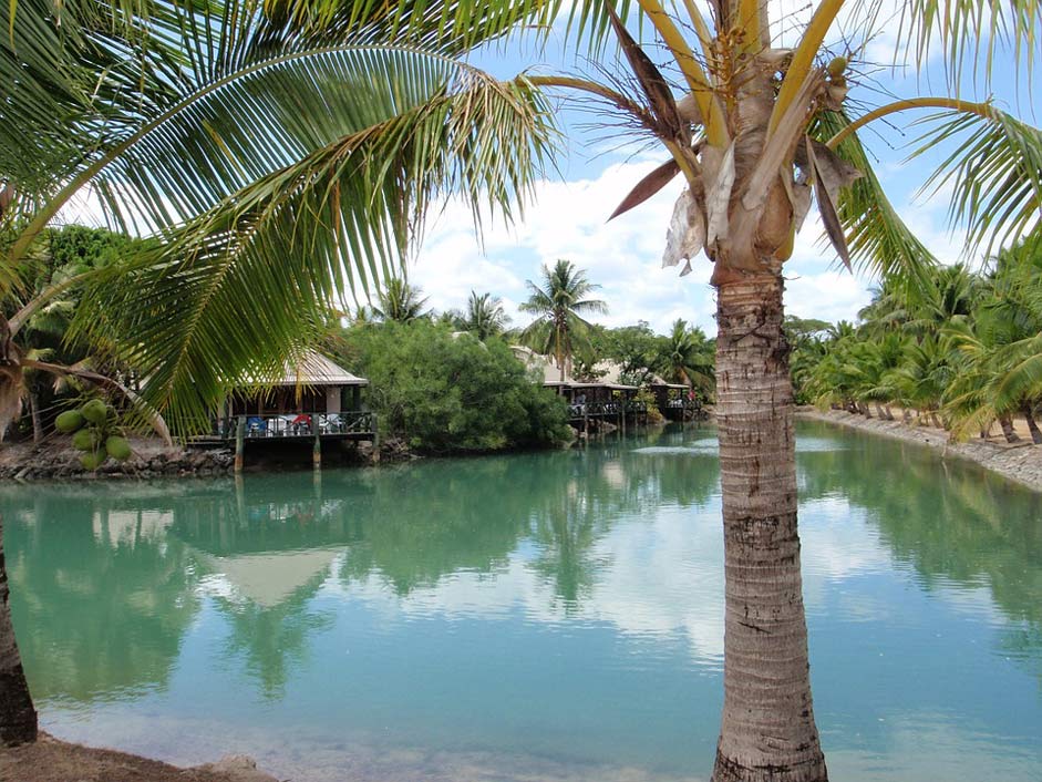 Whater Island Resort Palm