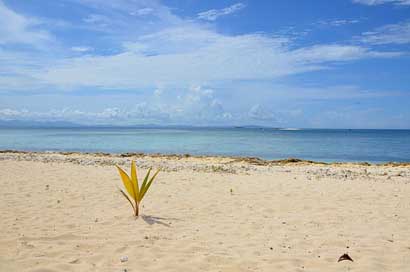 Fiji   Beach Picture