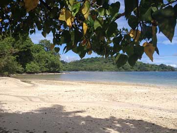 Beach Water Tropical Fiji Picture