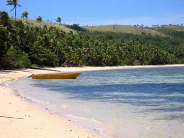 Fiji Palm-Trees Beach Boat Picture