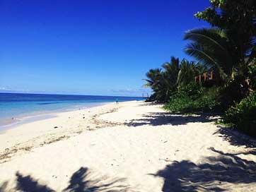 Sea Fiji Palms Beach Picture