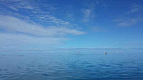 Fiji  Blue-Sky The-Sea Picture