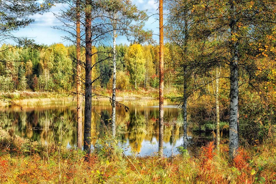 Lake Pond Hdr Finland