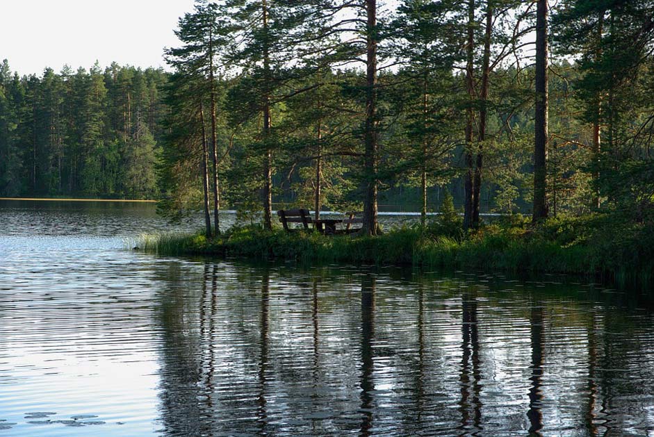 Reflection Fir Lake Finland